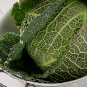 Cabbages, Spinach, Kale & Spring Greens