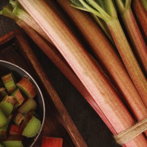 Rhubarb