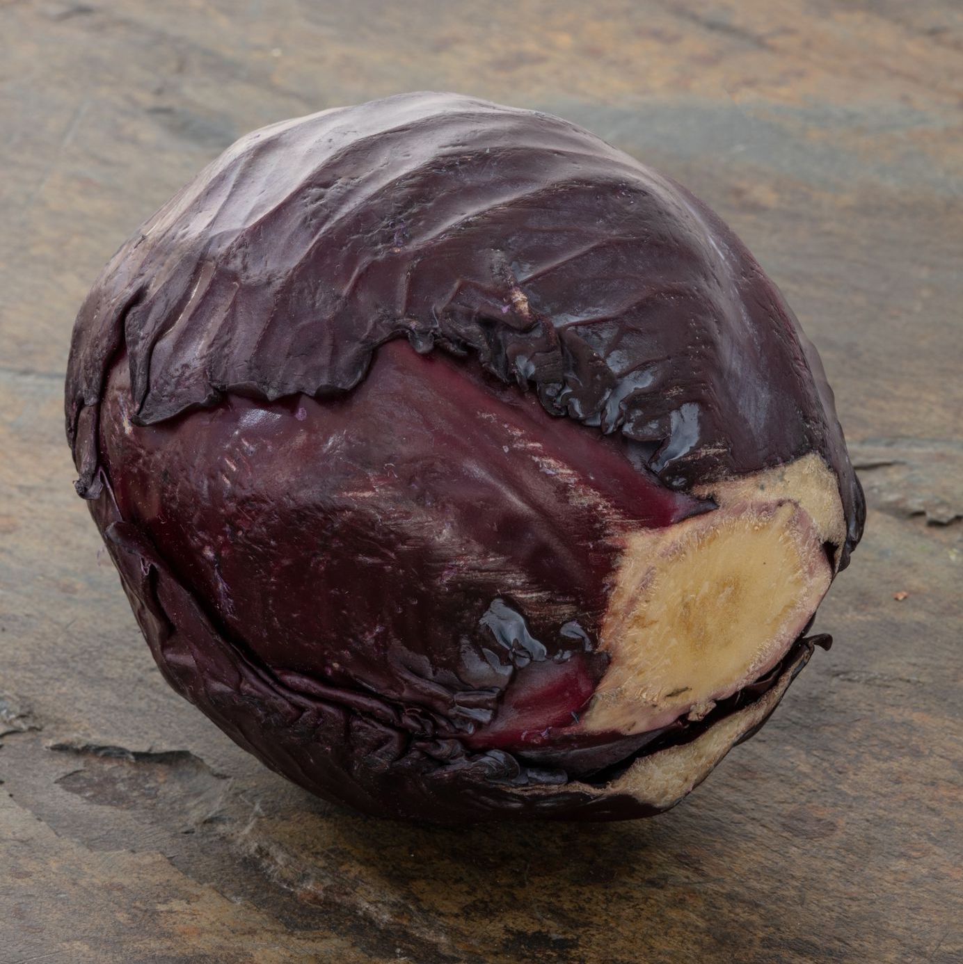 Cabbage Red Catering