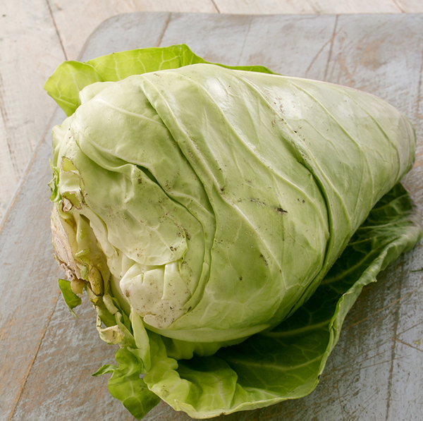 Cabbage Hispi - Pointed
