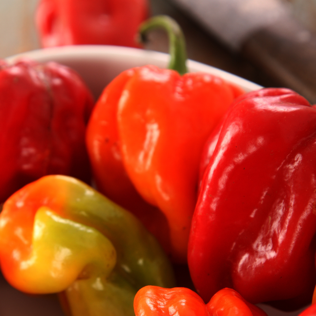 Chilli Scotch Bonnet