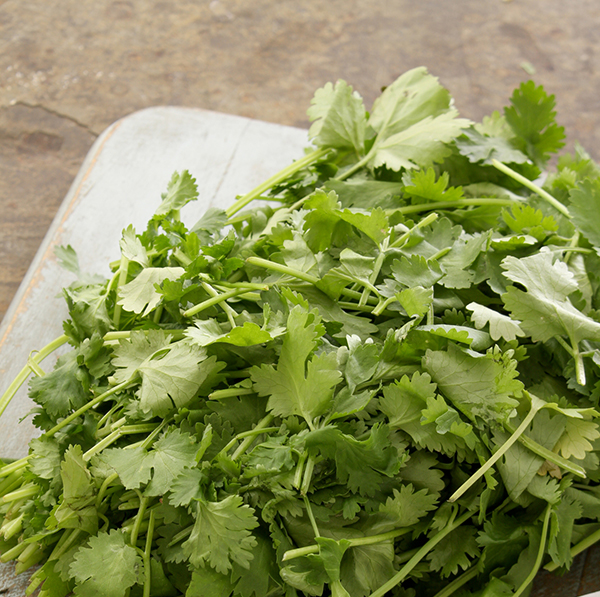 Coriander (Washed and ready to eat)