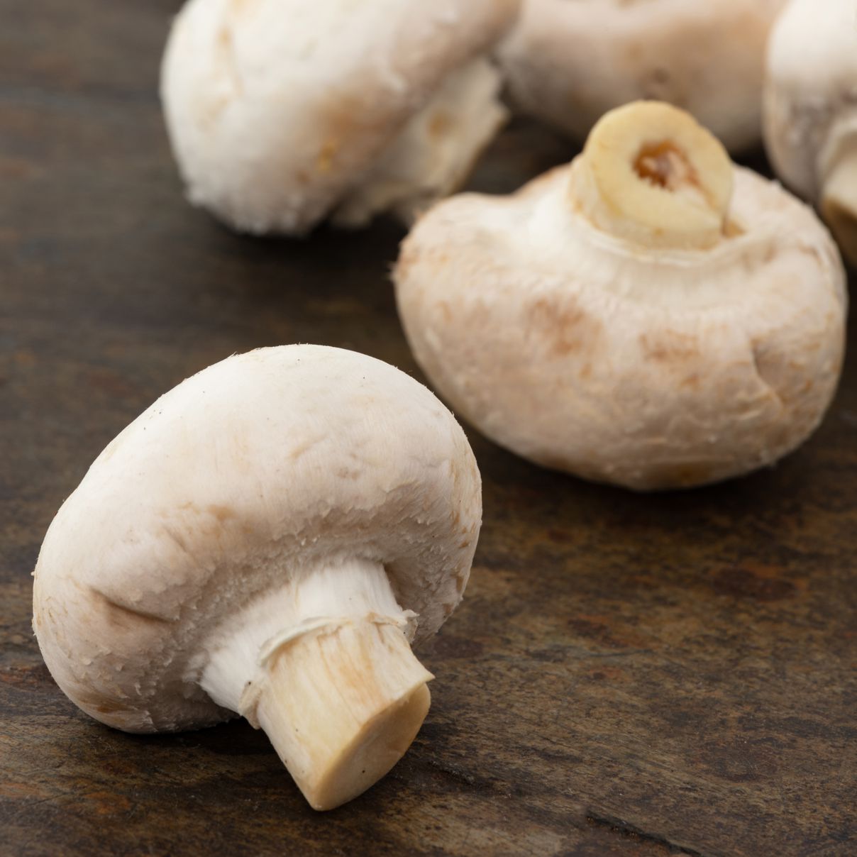 Mushroom Button