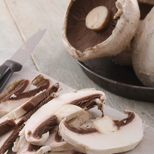 Mushroom Catering Ungraded