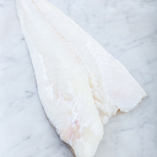 Wholesale Fresh Fish Suppliers Oliver Kay
