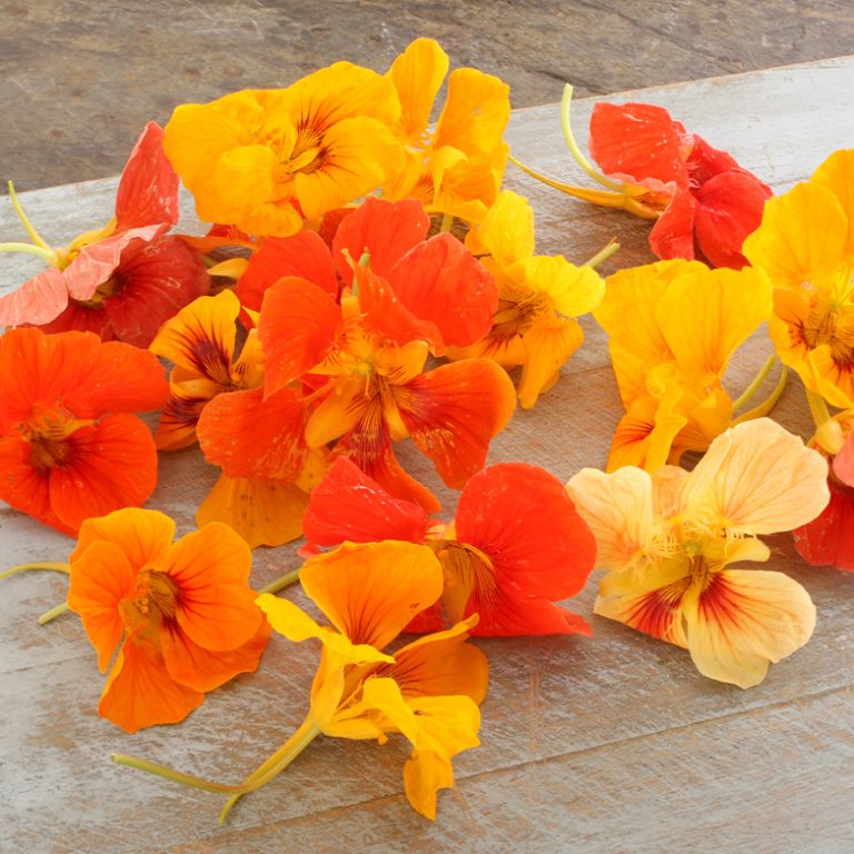 Buy Wholesale Edible Flowers Oliver Kay