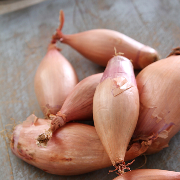 Shallot Banana Large