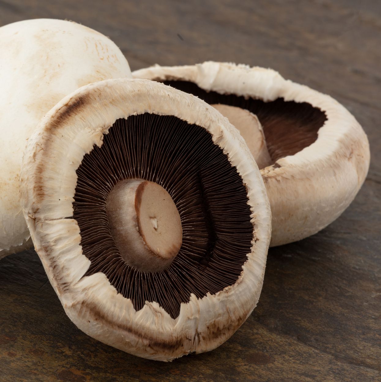 Mushroom Flat