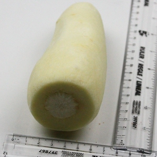 Parsnip Whole Peel