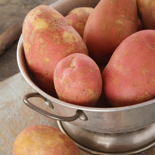Potato Washed Red