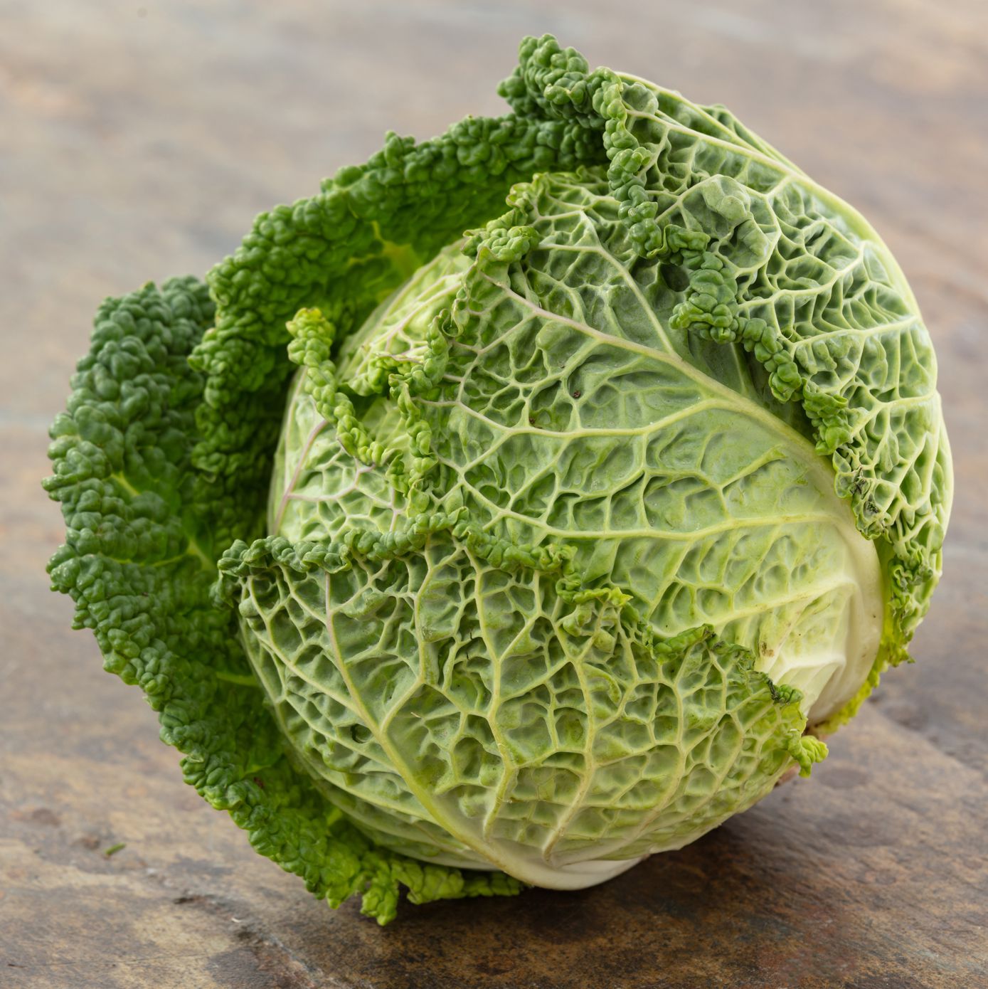 Savoy Cabbage