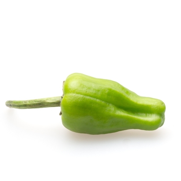 Pepper Padron