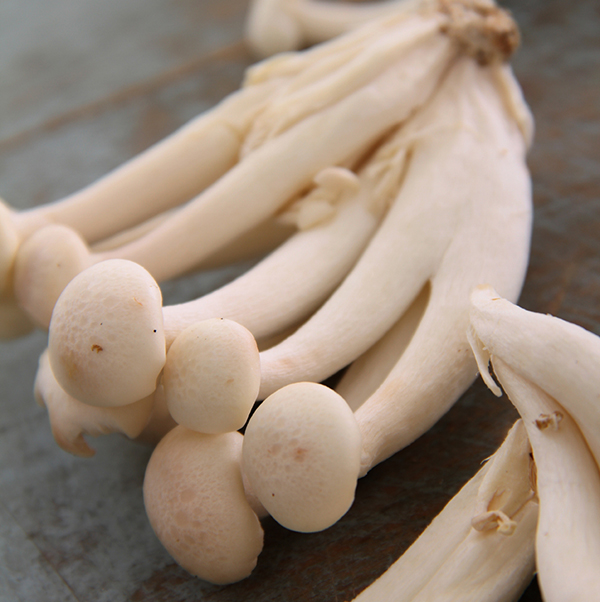 Mushroom Shimeji