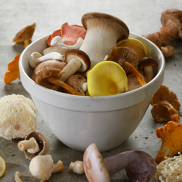 Mushroom Woodland Wild Mix