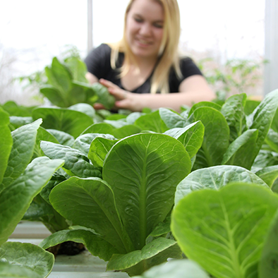 Produce growing